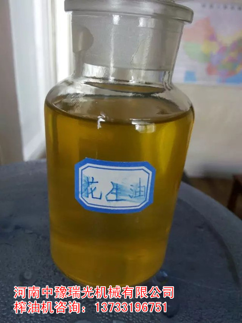 山西省橄榄榨油机产量高