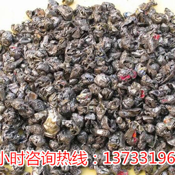 广东茂名铁皮撕碎机操作简单方便