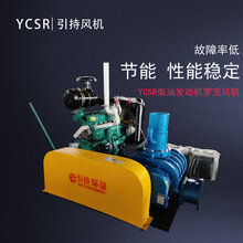 全国供应YCSR脱硫脱硝罗茨风机引持环保罗茨鼓风机厂家直销价格低图片