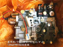 NTA855-G1燃油泵4951451-20秦皇岛港口设备图片3