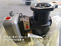 M11（SA93）燃油泵3883776-CY珠海港口设备图片4
