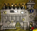 KTA38燃油泵3075529-20上海港口設備