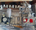 DCEC燃油泵C5301583歪頭山鐵礦