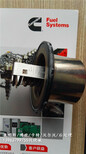 NTA855燃油泵3655949-20上海港口设备图片1