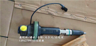 QSK19喷油器4955524/F00BL0J020康明斯工厂图片4