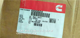 QSK19喷油器4955524/F00BL0J020康明斯工厂图片5