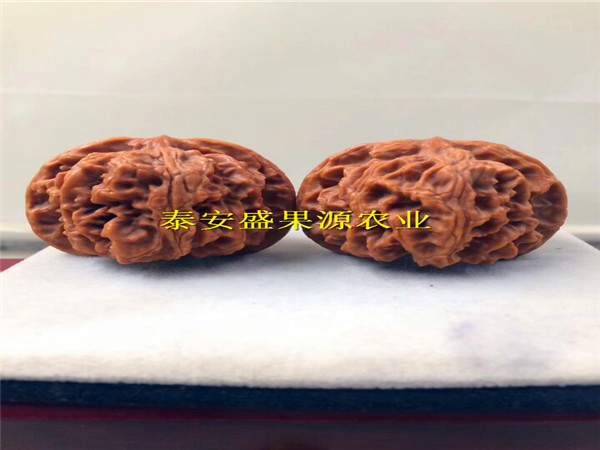 高坪核桃種子苗效益基地