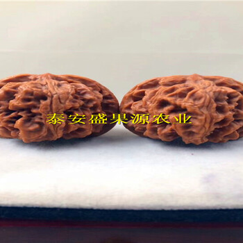 瑪沁縣香椿種苗出售詳細(xì)圖解