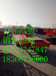 江西吉安挖掘机拖车供应商图片
