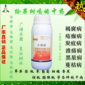 棗樹炭疽病縮果病用靚果安藥治療