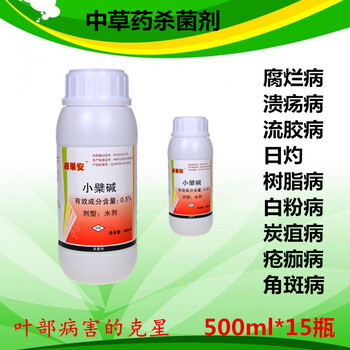 草莓紅中柱根腐病侵染性病害及治療方案