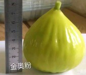 早黄无花果苗新报价早黄无花果苗批发早黄无花果苗行情