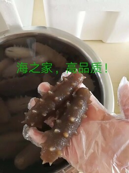 微达淡干海参秋冬缓解秋燥，滋补品品质好