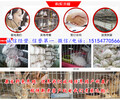新绛县兔子养殖场批发零售