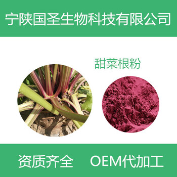 甜菜根粉甜菜根速溶粉