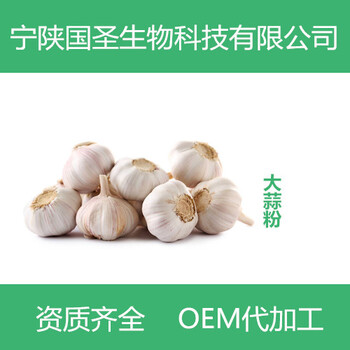 大蒜提取物大蒜粉速溶濃縮噴霧干燥