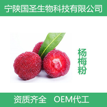 楊梅粉楊梅果粉噴霧干燥速溶
