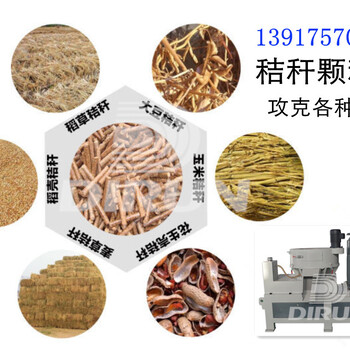 生物质制棒机全套颗粒机生产设备上海缔润