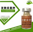 优质的发酵床菌种制作的养猪发酵床有哪些优势？图片