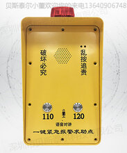 紧急报警系统--校园一键求救报警箱图片
