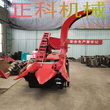 1558573028086398200-1.jpg@1e_1c_220w_220h_90Q.jpg