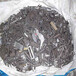 织里镇本地回收钨钢铣刀钻头厂家直接收购价格卖的高