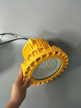 耐高溫led防爆燈20Wled耐高溫防爆燈20W