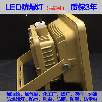 化工廠LED防爆路燈30W