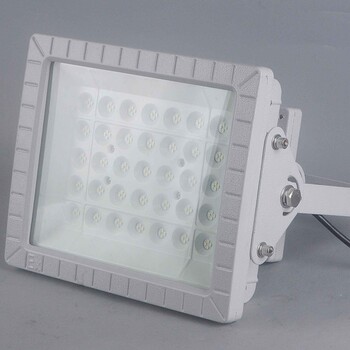 防爆工作燈25W