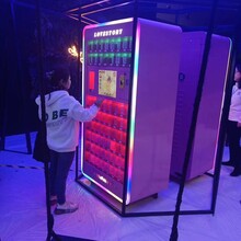 口红机出租，动感赛车租赁，沙弧球机，台球桌出租