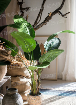 旅人蕉大型仿真热带植物盆景芭蕉地面空间客厅卧室装饰花艺造景
