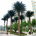 仿真椰子树大型广场酒店室内外造景散尾葵仿真棕榈海澡树热带植物