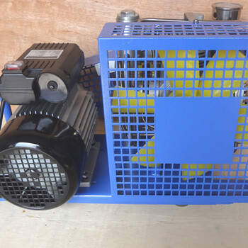 正压式空气呼吸器充气泵6.8L气瓶