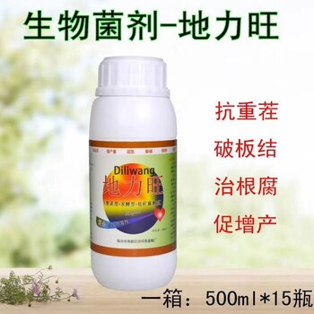 獼猴桃秋季施肥技巧抓住獼猴桃秋季施肥的時機