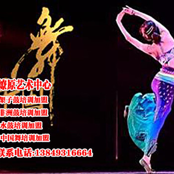 范县中国舞培训加盟_哪里的舞蹈培训学校比较好