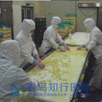 土豆泥招聘