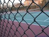 勾花护栏网-篮球场防护围网-质量优等