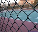 勾花护栏网-篮球场防护围网-质量优等图片