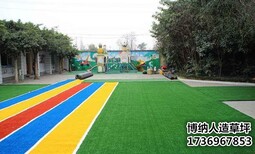 江苏五公分足球场人造草坪施工厂家总代免费拿样图片0