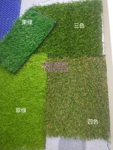 1537152802080686000-0.jpg@1e_1c_220w_220h_90Q.jpg