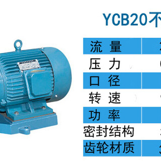 圆弧齿轮油泵YCB-20不锈钢齿轮泵图片1