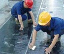 sbs防水卷材寿光旭泰厂家直销APP防水卷材图片