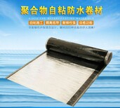 九江红芯资质防水材料供应商图片5