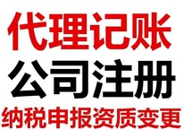 0元注册，提供地址，两天拿证，记账报税一站式服务图片0