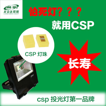 csp品质款泛光灯厂家批发室外led灯防水投光灯50W100W