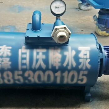 菏泽降水泵生产厂家