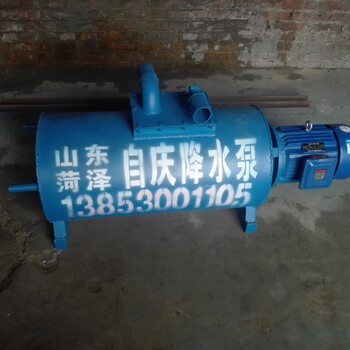 中国降水泵
