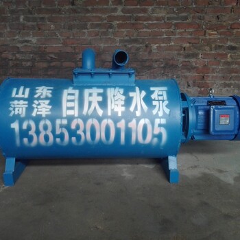 山东菏泽供应降水泵自庆降水设备有限公司销售部