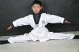  Taekwondo Grading Examination