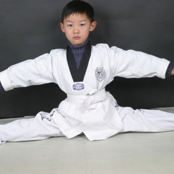  Taekwondo Grading Examination